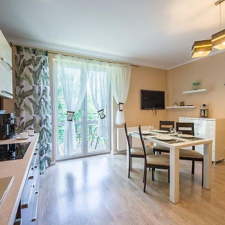 Apartament Brzozowy Zakatek - 5D Apartamenty Swieradow-Zdroj Exterior photo